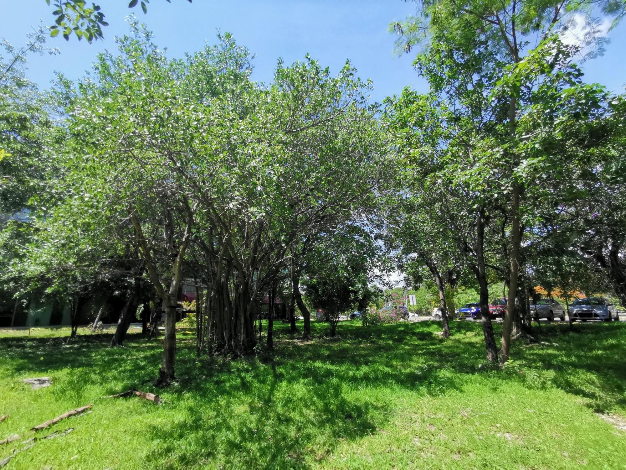Beautiful & Cozy Near Beach Apartment Pool & Kingsize Bed Cancun Room photo